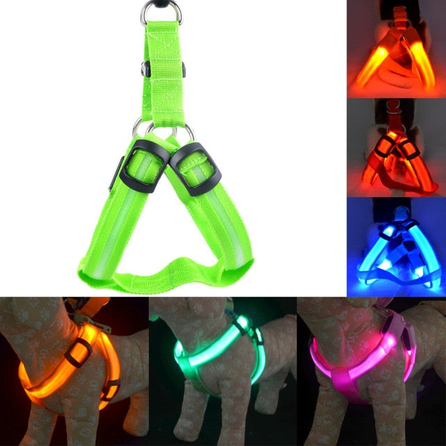 Glowing Pet Harness
