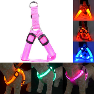 Glowing Pet Harness