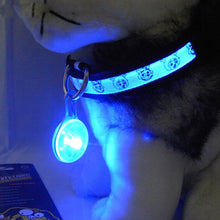 Load image into Gallery viewer, Glowing Pet Collar