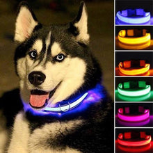 Load image into Gallery viewer, Glowing Pet Leash