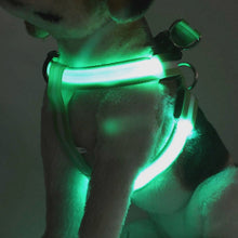 Load image into Gallery viewer, Glowing Pet Harness