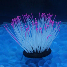 Load image into Gallery viewer, Artificial Sea Anemones with Glowing Effects
